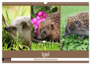 Igel 2024. Tierische Impressionen (Wandkalender 2024 DIN A3 quer), CALVENDO Monatskalender de Steffani Lehmann (Hrsg.