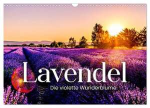 Lavendel - Die violette Wunderblume (Wandkalender 2024 DIN A3 quer), CALVENDO Monatskalender de Sf Sf