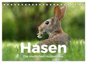 Hasen - Die niedlichen Hoppeltiere. (Tischkalender 2024 DIN A5 quer), CALVENDO Monatskalender de M. Scott