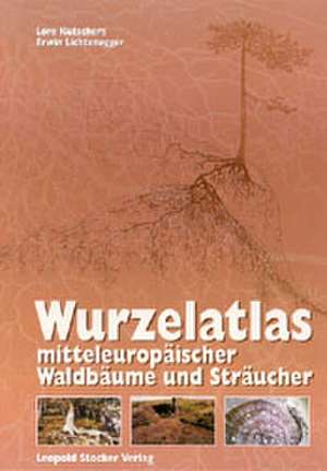 Wurzelatlas mitteleuropäischer Waldbäume und Sträucher de Lore Kutschera