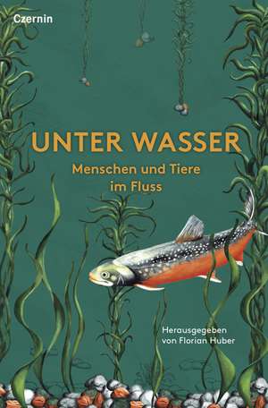 Unter Wasser de Florian Huber