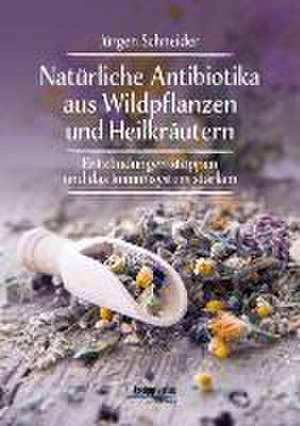 Natürliche Antibiotika aus Wildpflanzen und Heilkräutern de Jürgen Schneider