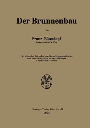 Der Brunnenbau de Franz Bösenkopf