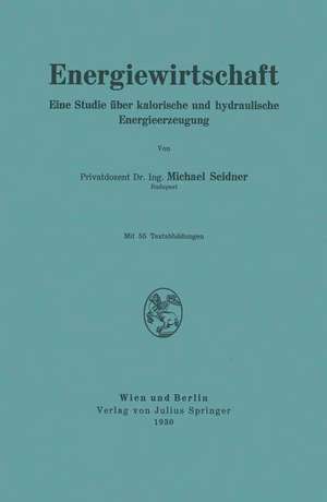 Energiewirtschaft: Eine Studie über kalorische und hydraulische Energieerzeugung de Michael Seidner