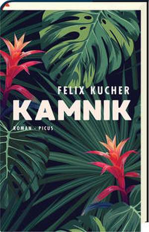 Kamnik de Felix Kucher