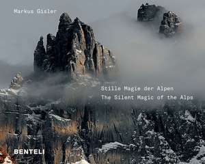 Stille Magie der Alpen de Markus Gisler