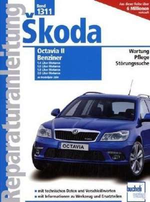 Skoda Octavia II Benziner / Modelljahr 2004 de Rainer Althaus