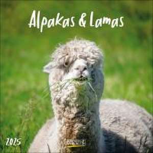 Alpakas und Lamas 2025 de Verlag Korsch