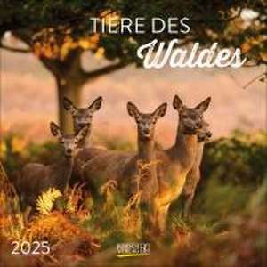 Tiere des Waldes 2025 de Verlag Korsch