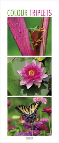 Colour Triplets 2026 de Verlag Korsch