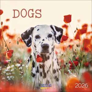 Dogs 2026 de Verlag Korsch