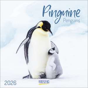 Pinguine 2026 de Verlag Korsch