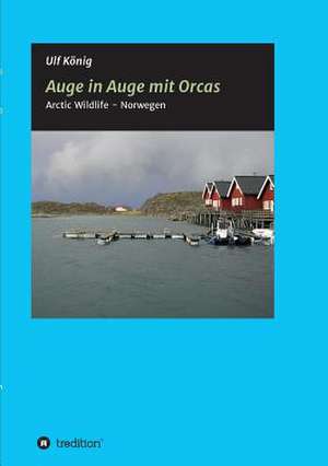 Auge in Auge Mit Orcas: Wie Ich Meine Chronischen Krankheiten, Konflikte Und Krisen Heilte Und Meine Kuhnsten Traume Ubertraf de Ulf König