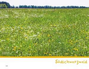 Wanderspaß mit Kindern - Schwarzwald de Antje Bayer