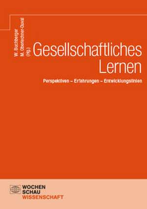 Gesellschaftliches Lernen de Wolfgang Buchberger