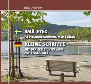 Kleine Schritte de Silvia Andréen