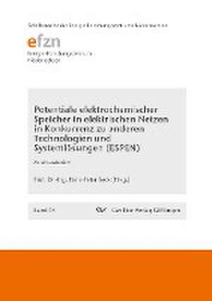 Potentiale elektrochemischer Speicher in elektrischen Netzen in Konkurrenz zu anderen Technologien und Systemlösungen (ESPEN). Abschlussbericht de Hans-Peter Beck