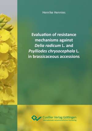 Evaluation of resistance mechanisms against Delia radicum L. and Psylliodes chrysocephala L. in brassicaceous accessions de Henrike Hennies