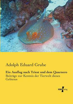 Ein Ausflug nach Triest und dem Quarnero de Adolph Eduard Grube