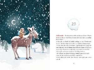 Ein Wombat im Schnee. Adventsgeschichte zum Vorlesen in 24 Kapiteln de Hiltrud Baier