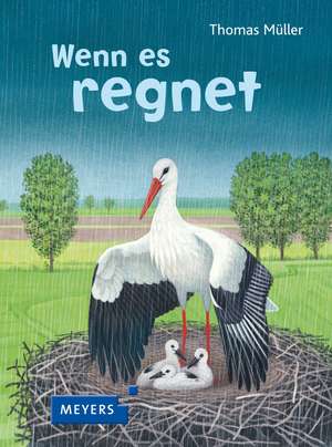 Wenn es regnet de Thomas. Müller