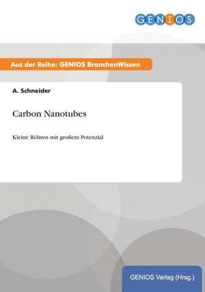 Carbon Nanotubes de A. Schneider