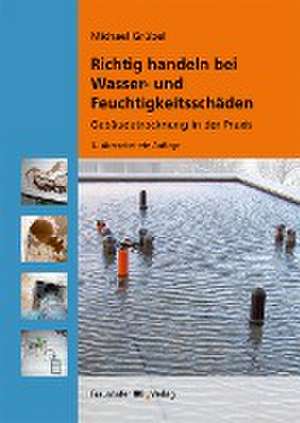 Richtig handeln bei Wasser- und Feuchtigkeitsschäden de Michael Grübel