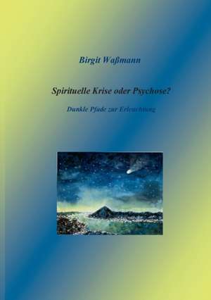 Spirituelle Krise oder Psychose? de Birgit Waßmann