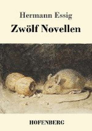 Zwölf Novellen de Hermann Essig