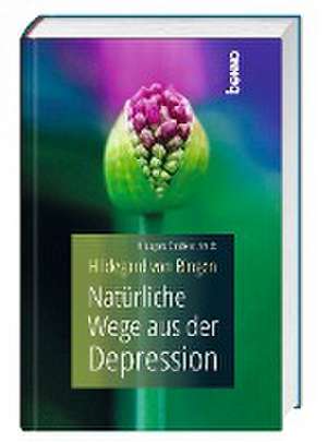 Hildegard von Bingen - Natürliche Wege aus der Depression de Hildegard Strickerschmidt