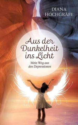 Aus der Dunkelheit ins Licht de Diana Hochgräfe