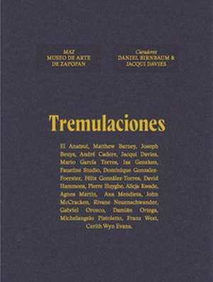 Tremulaciones de Daniel Birnbaum