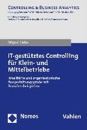 IT-gestütztes Controlling für Klein- und Mittelbetriebe de Miguel Liebe