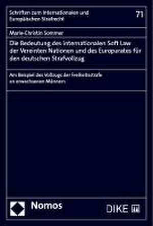 Die Bedeutung des internationalen Soft Law der Vereinten Nationen und des Europarates für den deutschen Strafvollzug de Marie-Christin Sommer