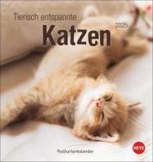 Tierisch entspannte Katzen Postkartenkalender 2025 de Heye