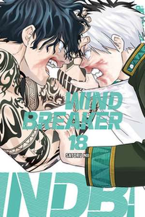 Wind Breaker 18 de Satoru Nii