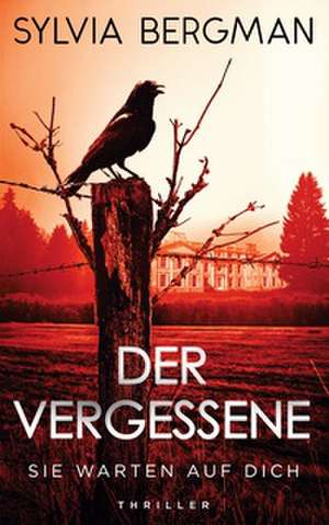 Der Vergessene de Sylvia Bergman