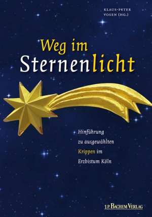 Weg im Sternenlicht de Klaus-Peter Vosen