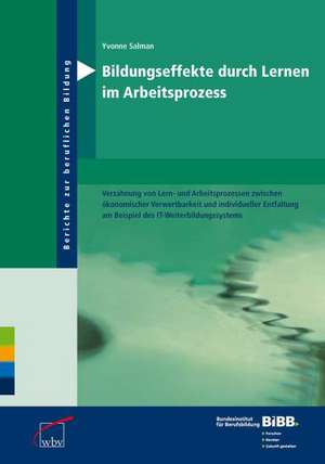 Bildungseffekte durch Lernen im Arbeitsprozess de Yvonne Salman