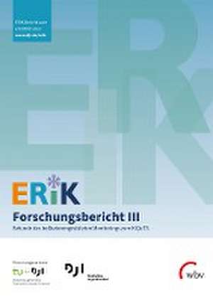 ERiK-Forschungsbericht III de Christiane Meiner-Teubner