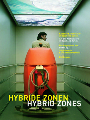 Hybride Zonen / Hybrid Zones: Kunst und Architektur in Basel und Zürich / Art and Architecture in Basel and Zurich de Sibylle Omlin