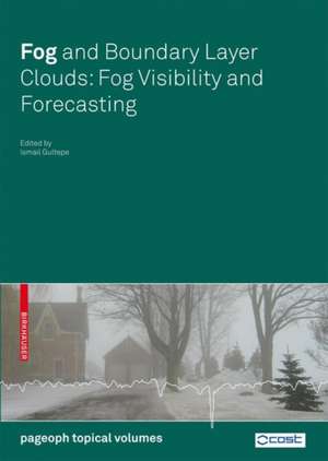 Fog and Boundary Layer Clouds: Fog Visibility and Forecasting de Ismail Gultepe