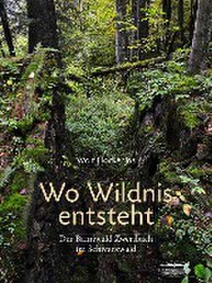 Hockenjos, W: Wo Wildnis entsteht