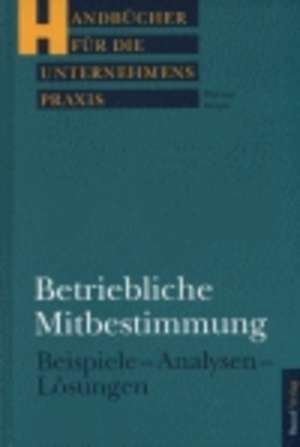 Betriebliche Mitbestimmung de Werner Dentz