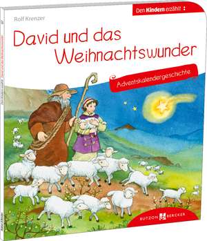 David und das Weihnachtswunder. Adventskalendergeschichte de Susanne Schwandt