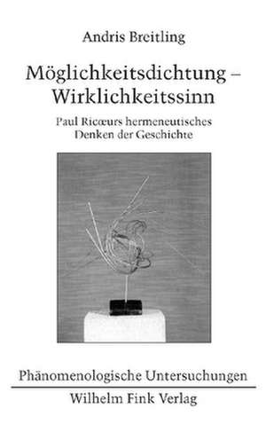 Möglichkeitsdichtung - Wirklichkeitssinn de Andris Breitling