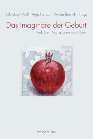 Das Imaginäre der Geburt de Christoph Wulf