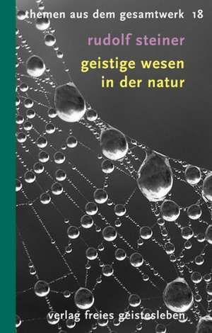 Geistige Wesen in der Natur de Rudolf Steiner