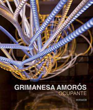 Grimanesa Amorós: Ocupante de Beate Reifenscheid