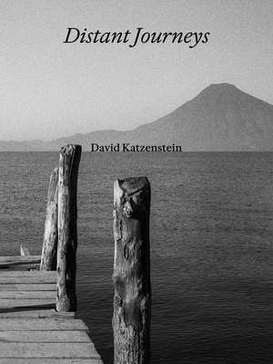 David Katzenstein: Distant Jorneys de David Katzenstein